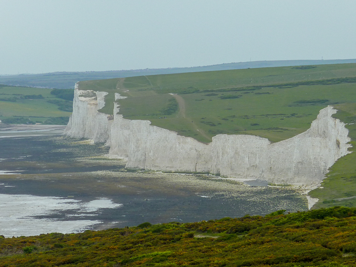 Stacks Image 403