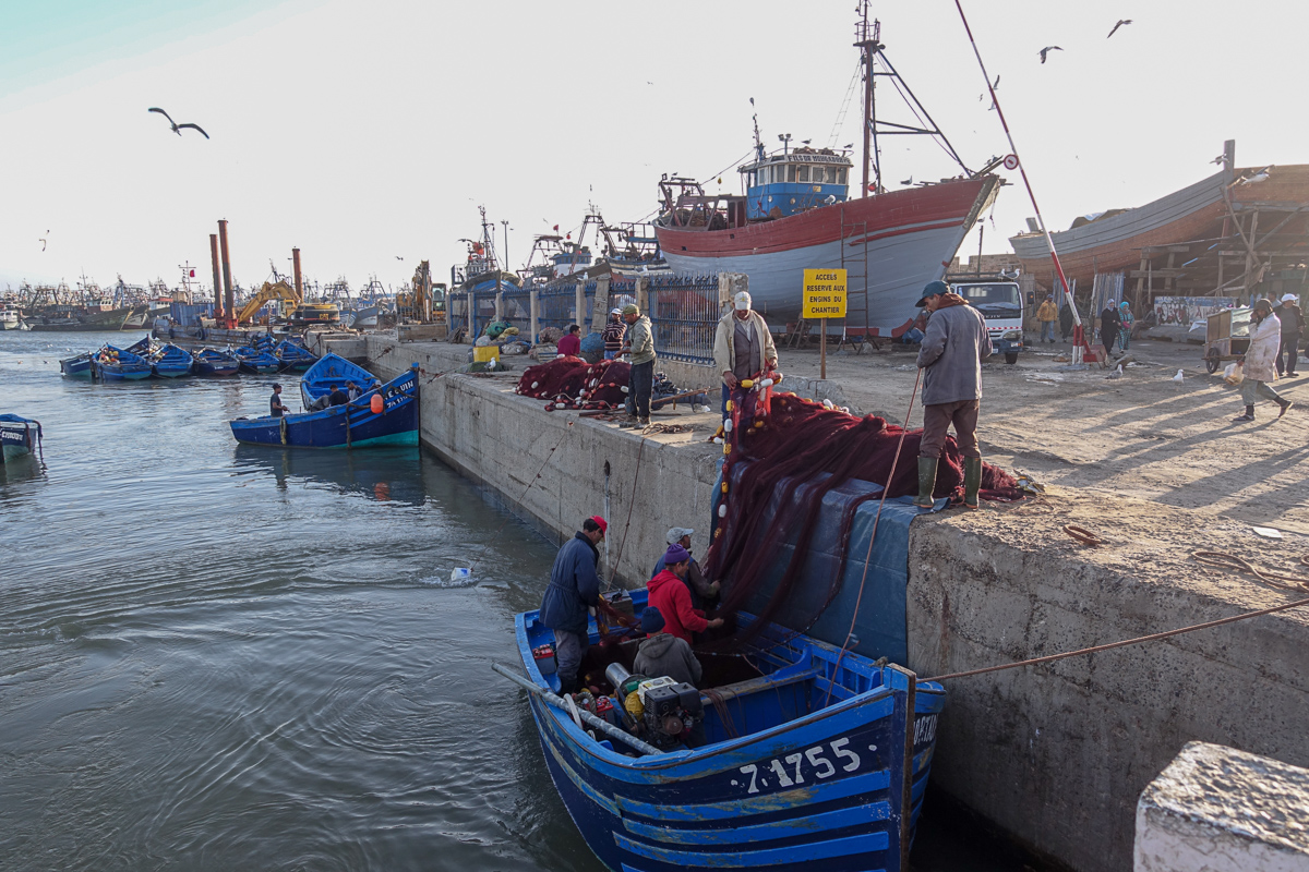 Fishing boats in Essaouira